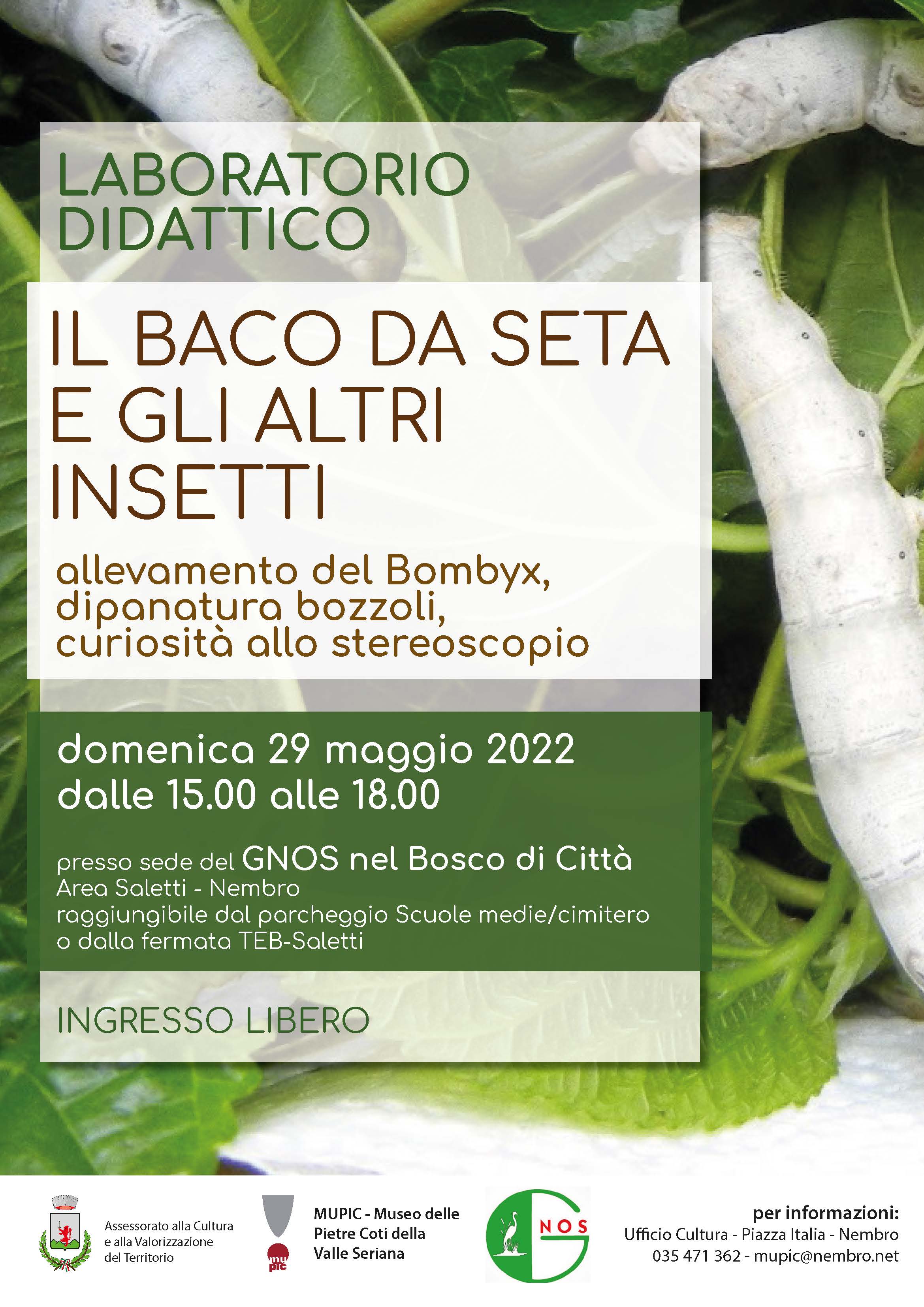 Immagine Laboratorio didattico: IL BACO DA SETA E GLI ALTRI INSETTI
