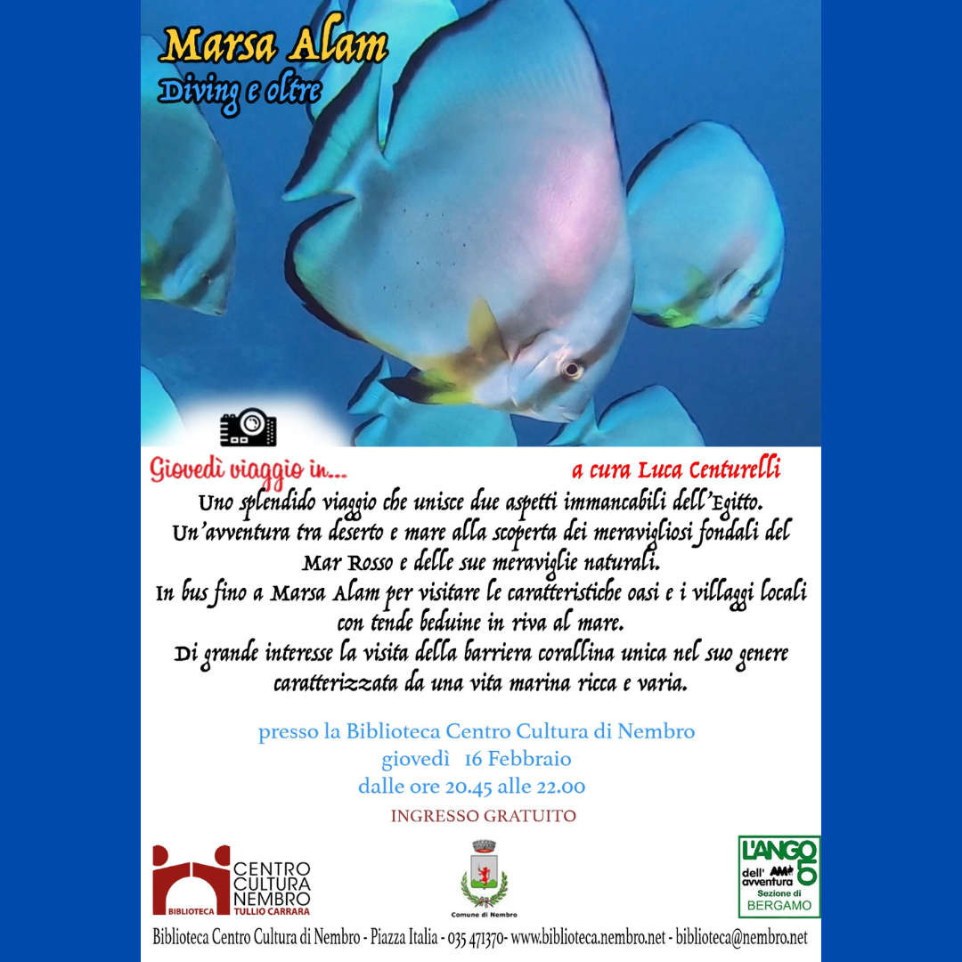 Immagine Giovedì viaggio...a Marsa Alam: Diving e oltre