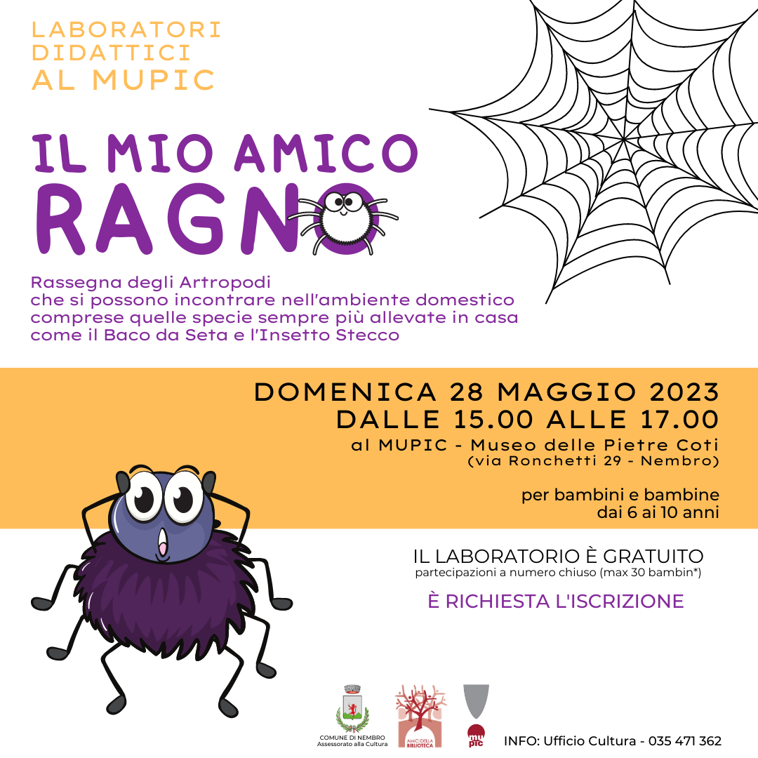 Immagine IL MIO AMICO RAGNO: rassegna degli artropodi che si possono incontrare nell'ambiente domestico