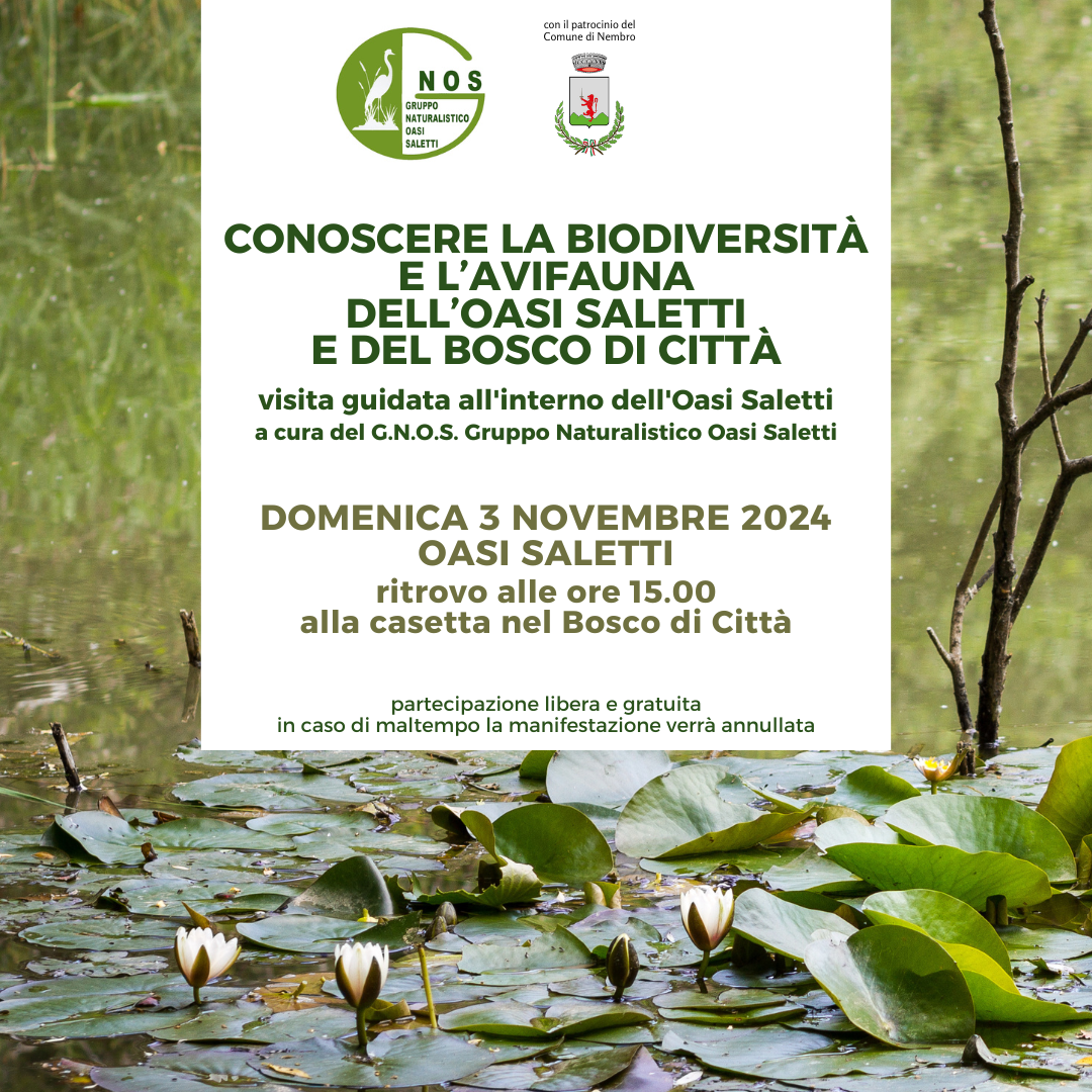 Immagine Conoscere la biodiversità e l'avifauna dell'Oasi Saletti e del Bosco di Città