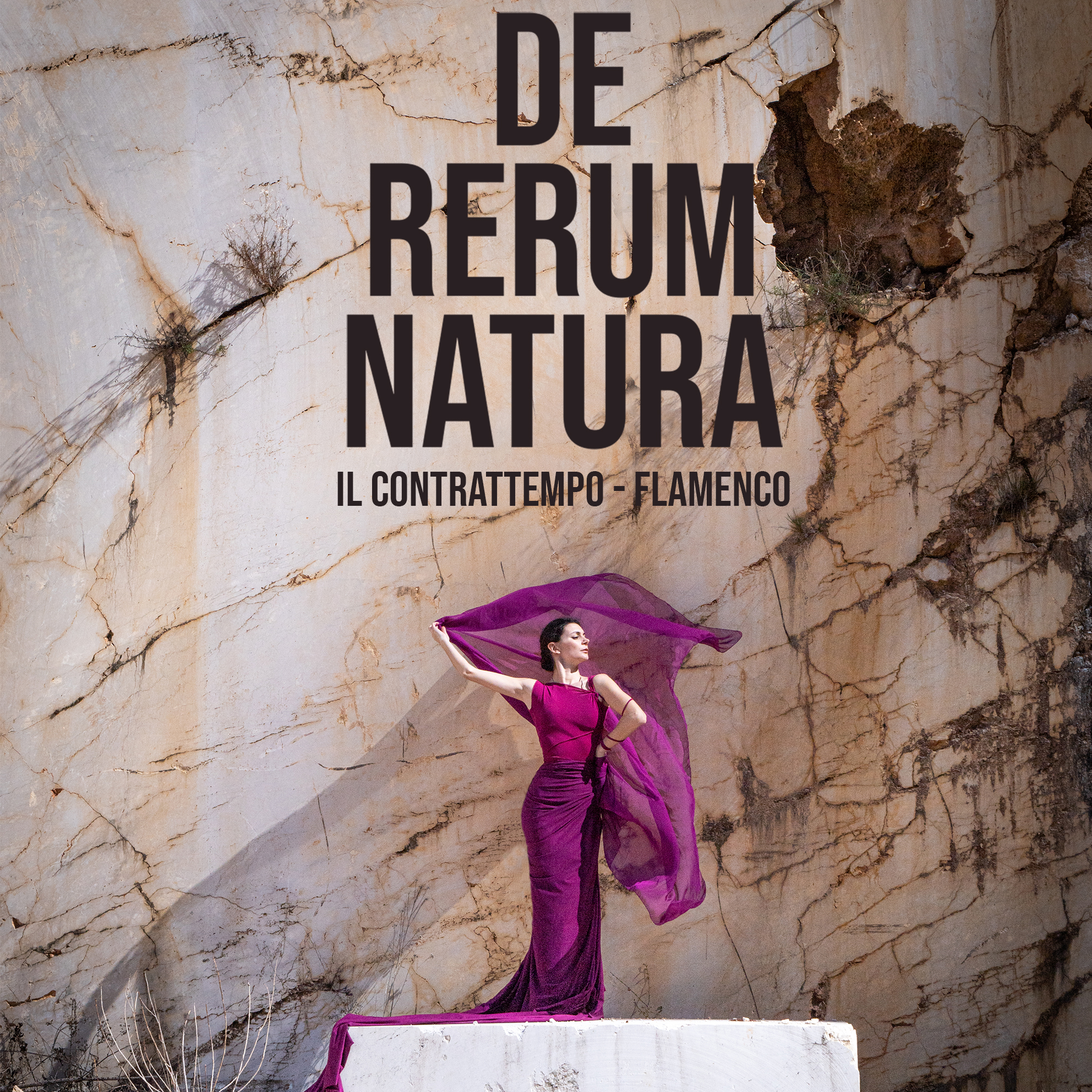 Immagine DE RERUM NATURA