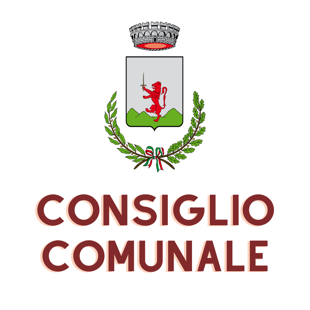 Immagine CONSIGLIO COMUNALE