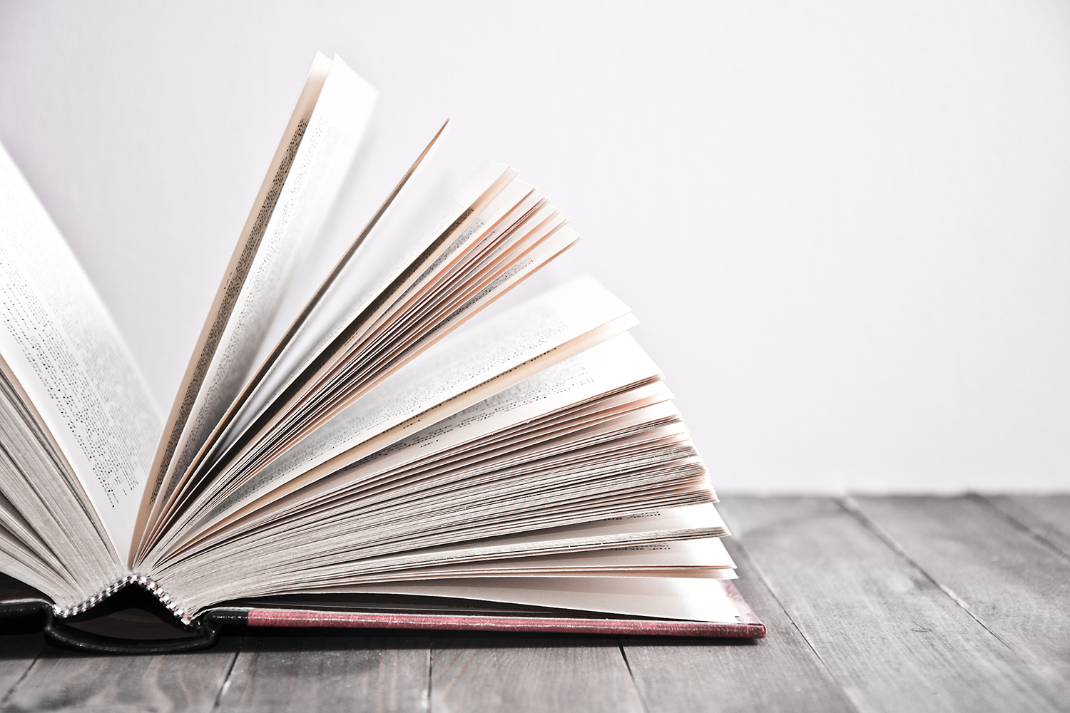 Immagine Presentazione del libro 