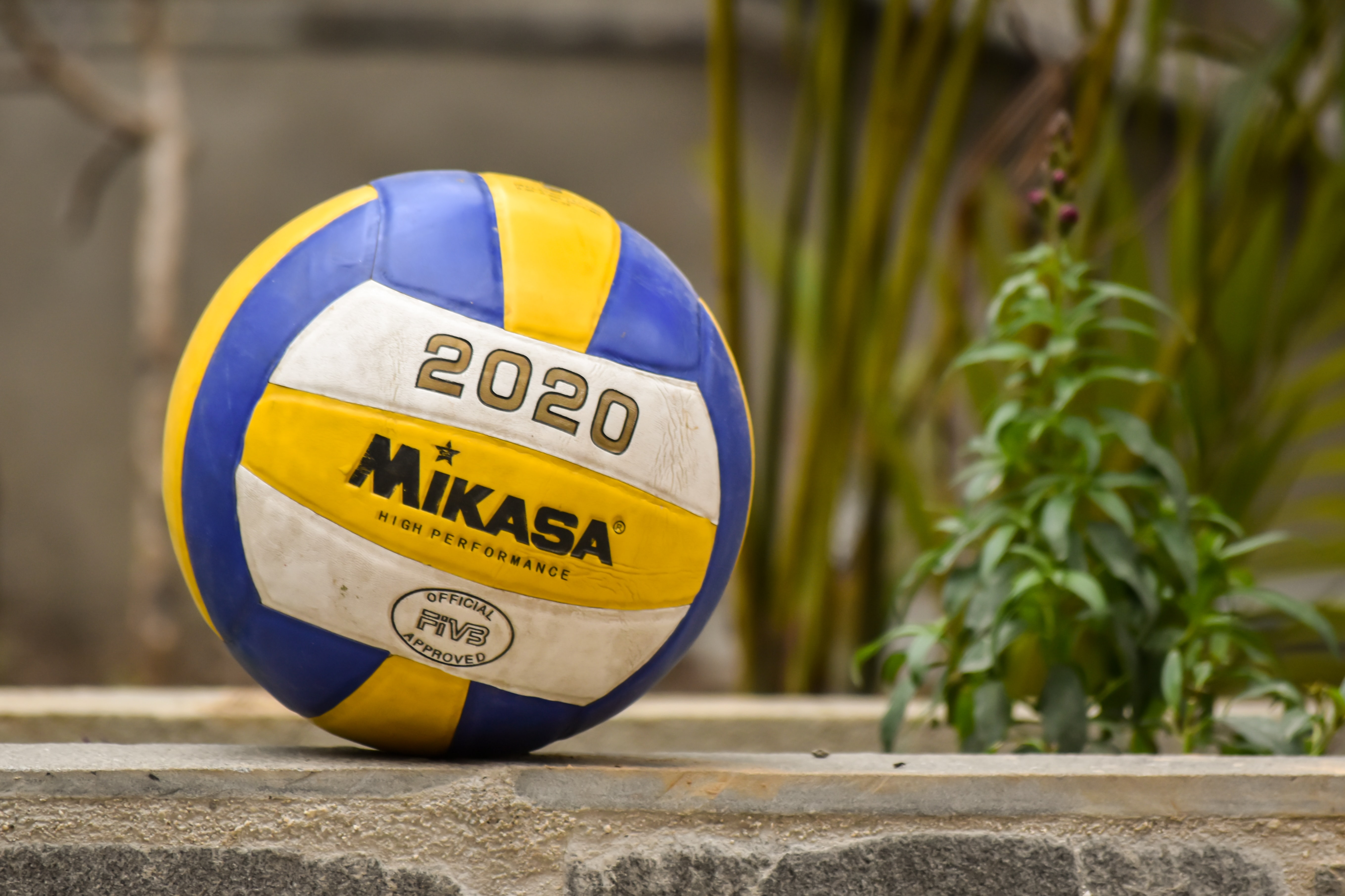 Immagine Minivolley in Piazza