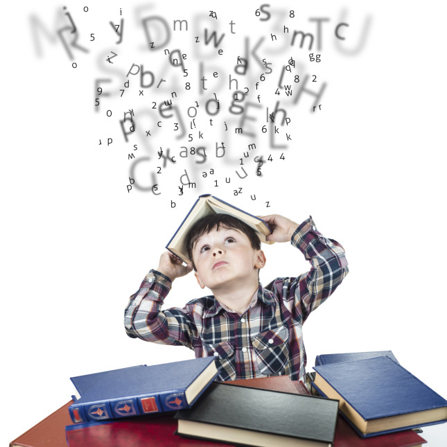 Immagine PRESENTAZIONE DEL LIBRO 