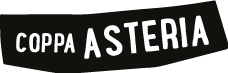 Immagine COPPA ASTERIA: manifestazione cicloturistica con passaggio sul territorio di Nembro