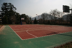 Immagine Campo da basket