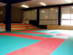 Immagine Palestrina San Faustino (judo)