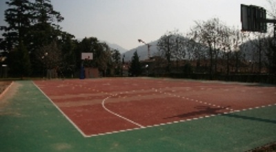 luogo Campo da basket