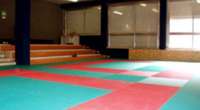 luogo Palestrina San Faustino (judo)